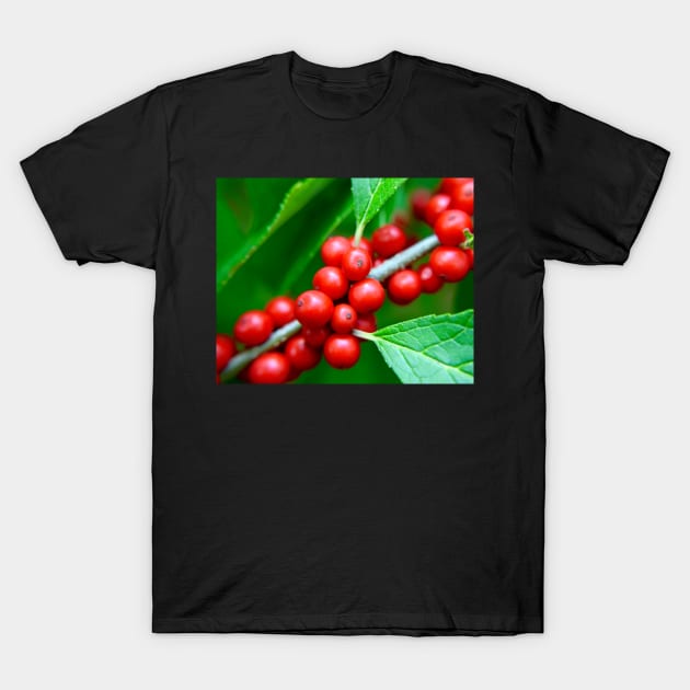 Ruby Red Berries T-Shirt by Colette22